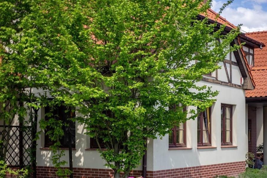 Villa Barbara Oborniki Śląskie Exterior foto