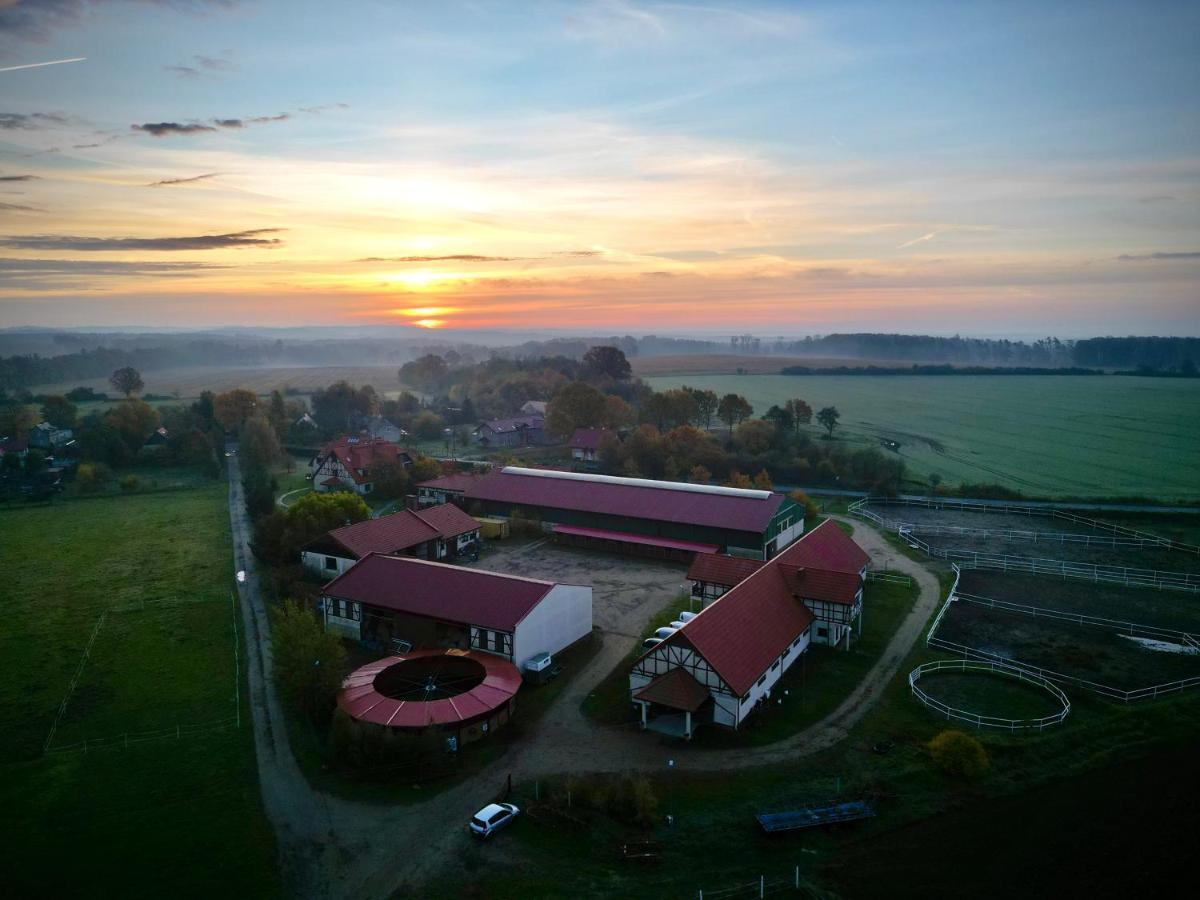 Villa Barbara Oborniki Śląskie Exterior foto